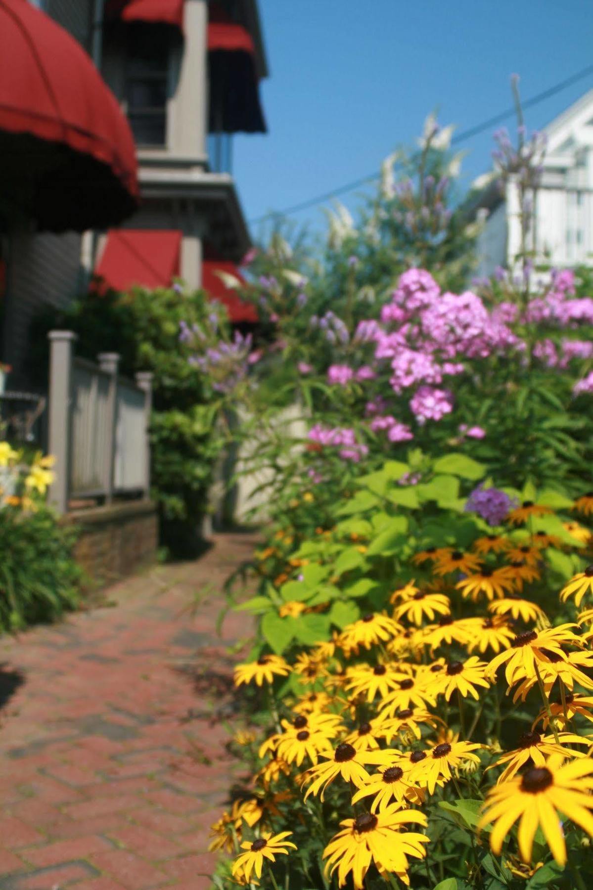 Prince Albert Guest House, Provincetown Exteriör bild